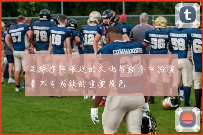 足球在阿根廷的文化与经济中扮演着不可或缺的重要角色