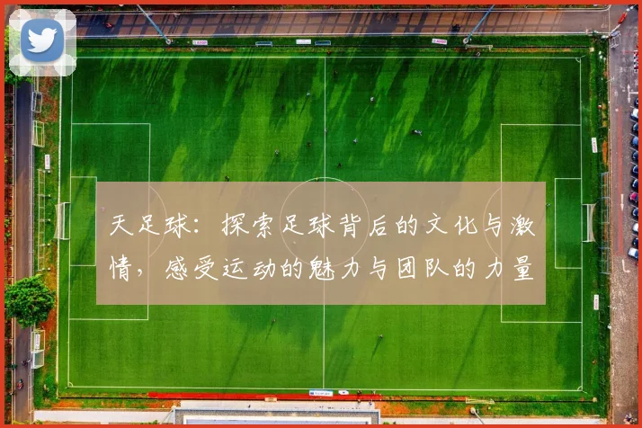 天足球：探索足球背后的文化与激情，感受运动的魅力与团队的力量