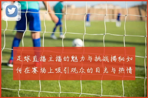 足球直播主播的魅力与挑战揭秘如何在赛场上吸引观众的目光与热情