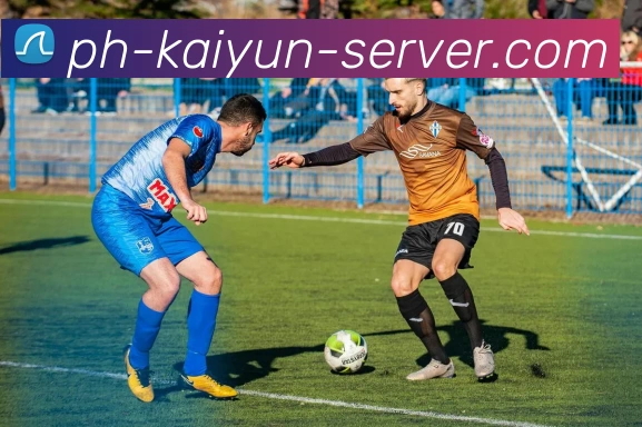 开云APP下载服务体系